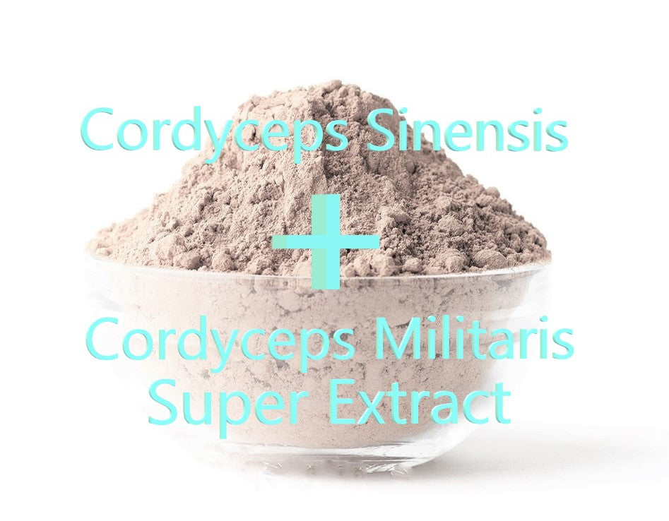 Cordyceps Super Extract Tea Powder